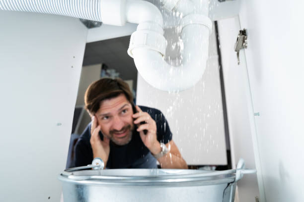 Best Local Plumber Services  in Bean Station, TN