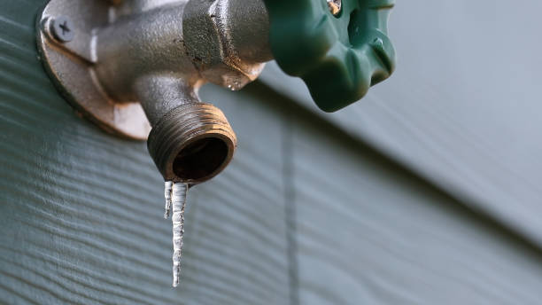 Best Residential Plumbing Services  in Bean Station, TN